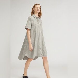Everlane The Daytripper Dress